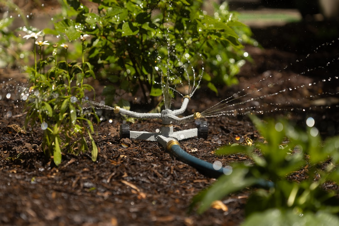 Sprinkler watering a landscaped garden covered with mulch